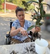 Пересадка растений как искусство:от стресса к процветанию.