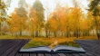 Литературный калейдоскоп "Осенний листопад. Стихи о возрасте"